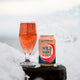 Wild Wave Blush Cider Cans - Adnams PLC