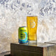 Wild Wave Cider Cans - Adnams PLC